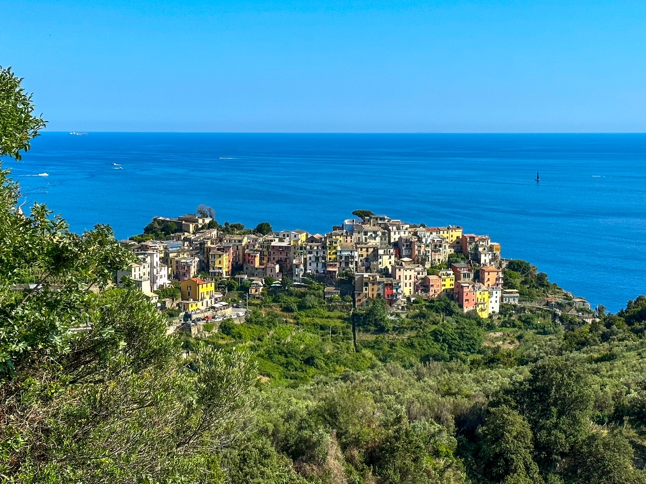 a view of one of the Cinque Terre towns from the trail between Corniglia and Vernazza