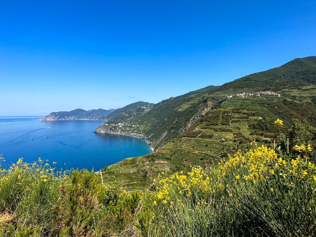 terraced hillside in the famous Cinque Terre UNESCO World Heritage Site