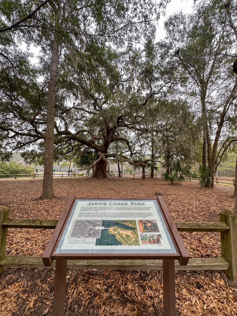 Jarvis Creek Park, one of the best things to do on Hilton Head Island with kids