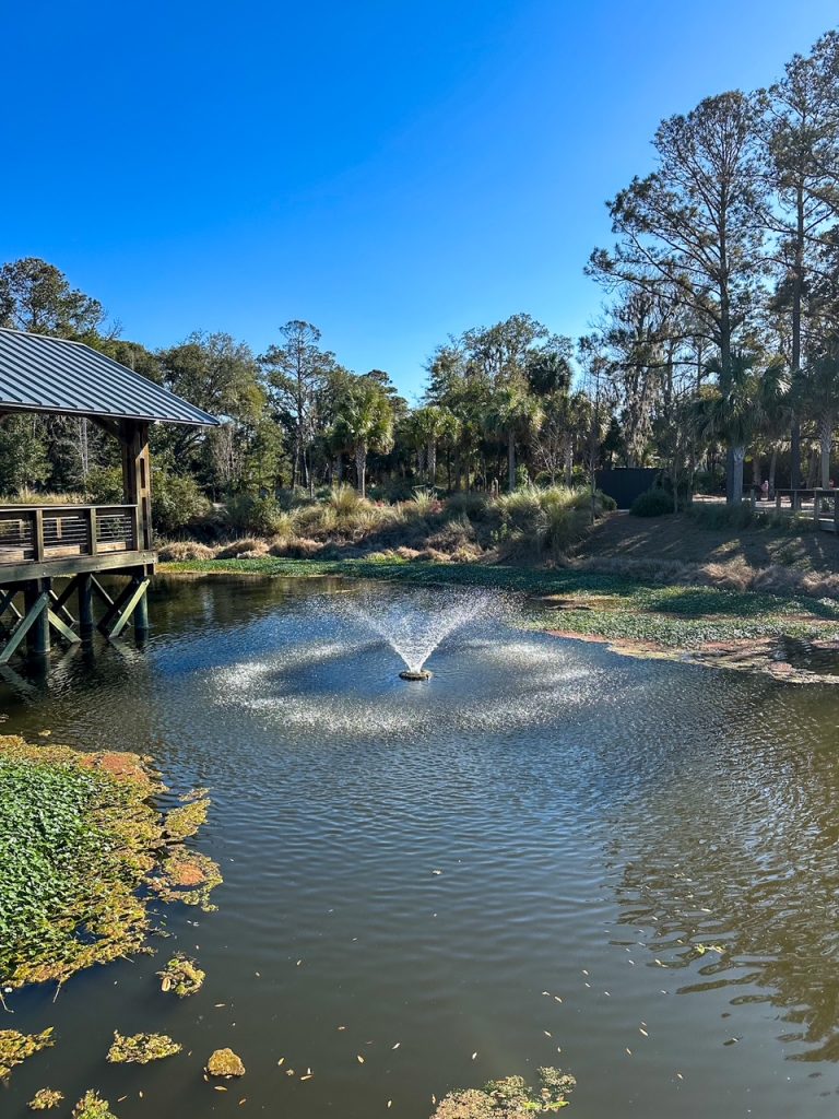 fountain at the Lowcountry Celebration Park