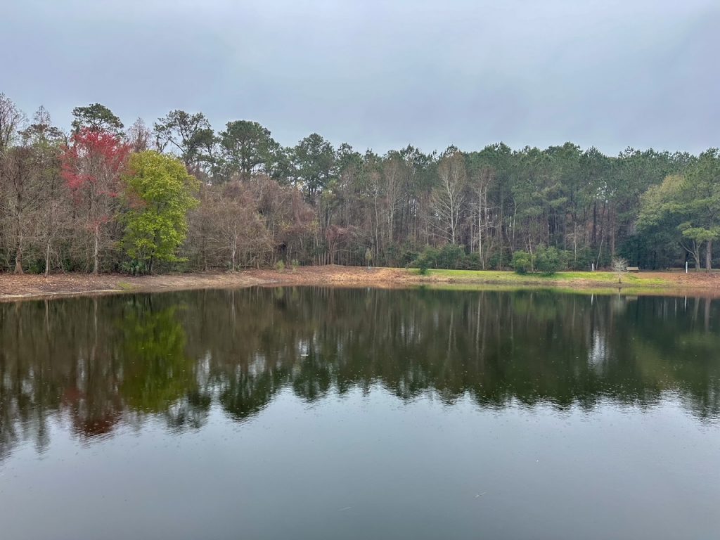 the pond at Jarvis Creek Park in Hilton Head