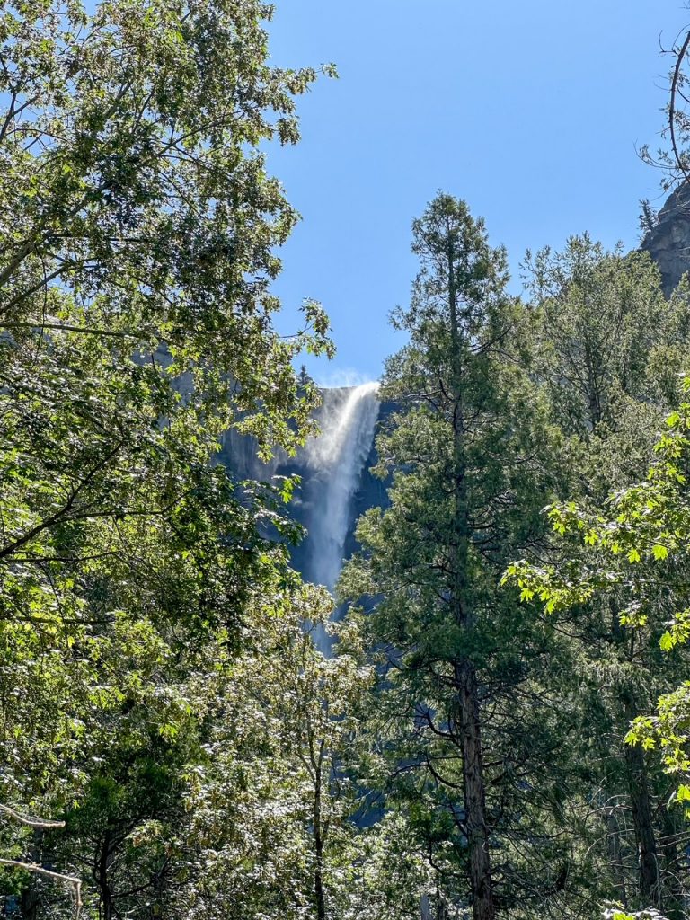 Bridalveil Fall as seen behind a forest on the Bridalveil Fall Trail, one of the easiest hikes in Yosemite National Park