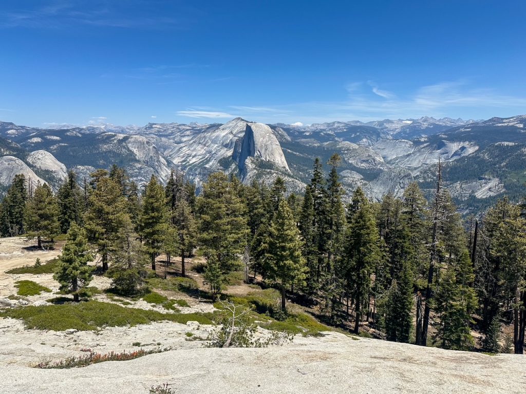 Half Dome peeking out behind a forested area at the top of Sentinel Dome in Yosemite