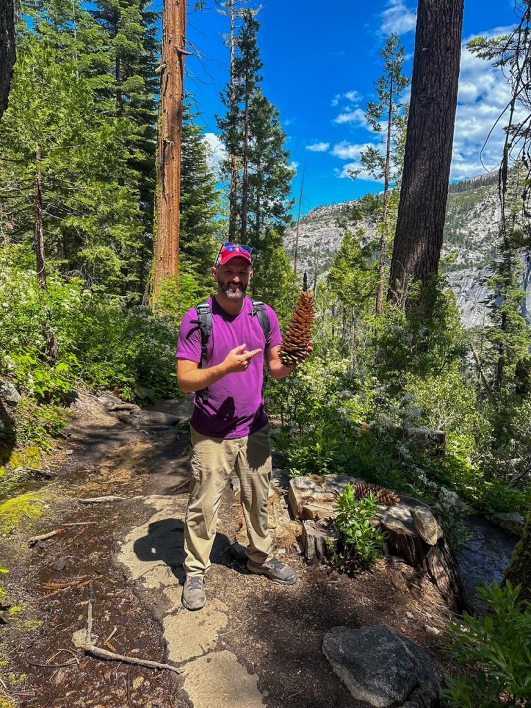 Tim with a big pine cone on the Panorama Trail, the second section of the most epic hike in Yosemite