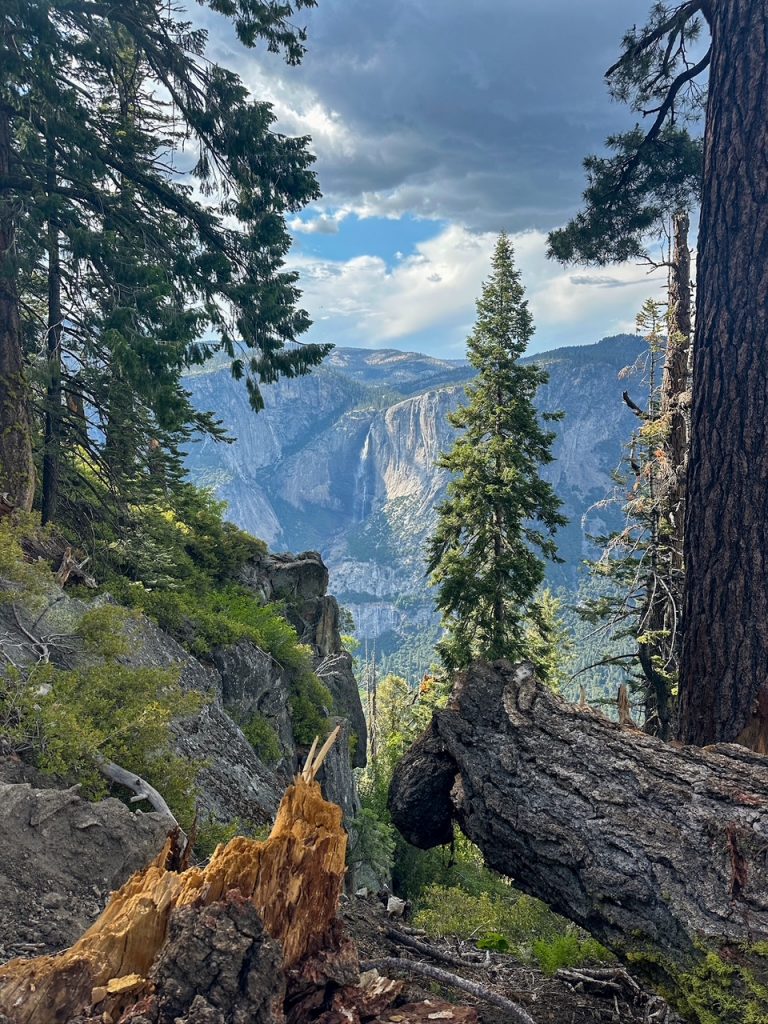 Yosemite Falls peeking out from behind some trees along the Four Mile Trail in the late afternoon light