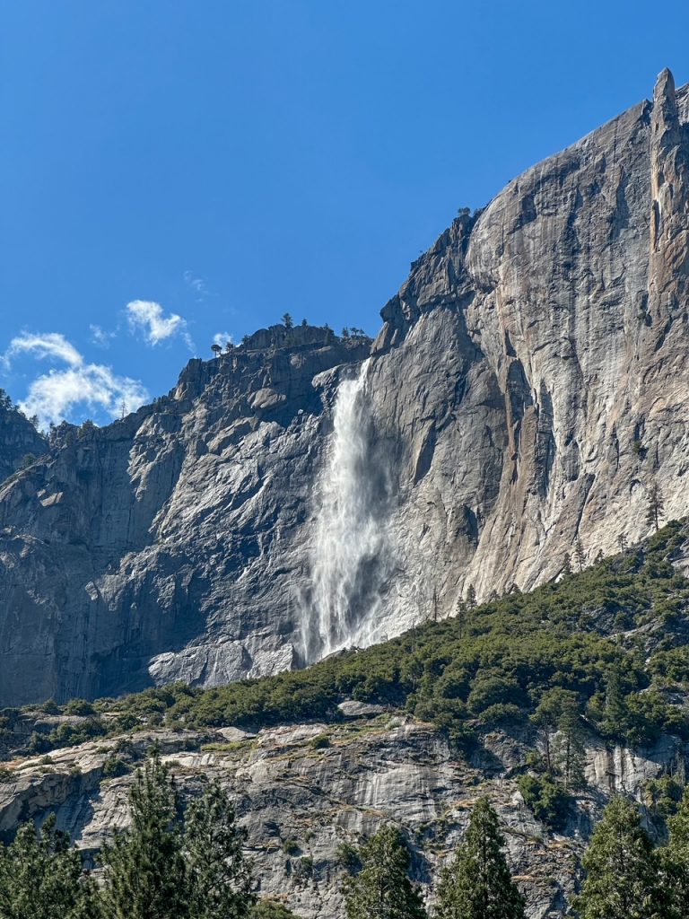 Yosemite Falls roaring in June as seen from Yosemite Village in Yosemite National Park