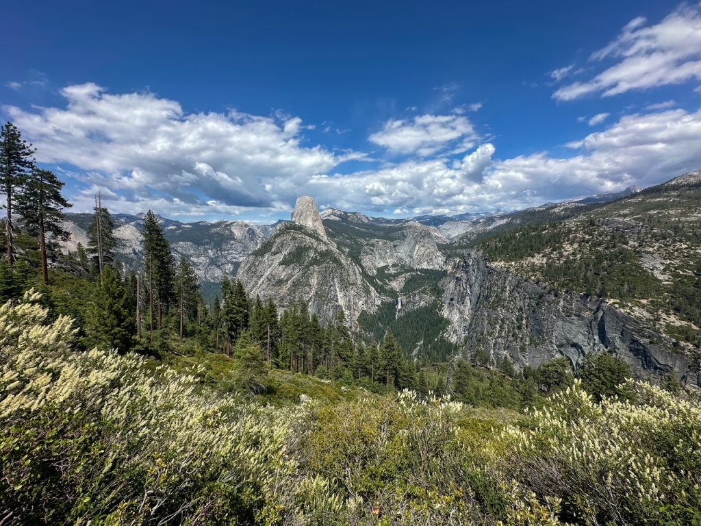 a view of the forest and Half Dome in the background from the Panorama Trail in Yosemite