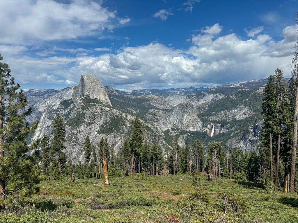 the forest with Half Dome in the background as seen from the Panorama Trail in Yosemite