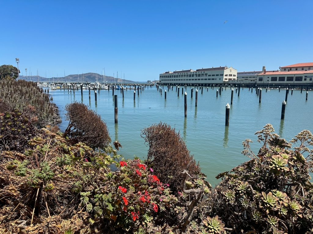 a pretty water view at the Fort Mason Center in San Francisco