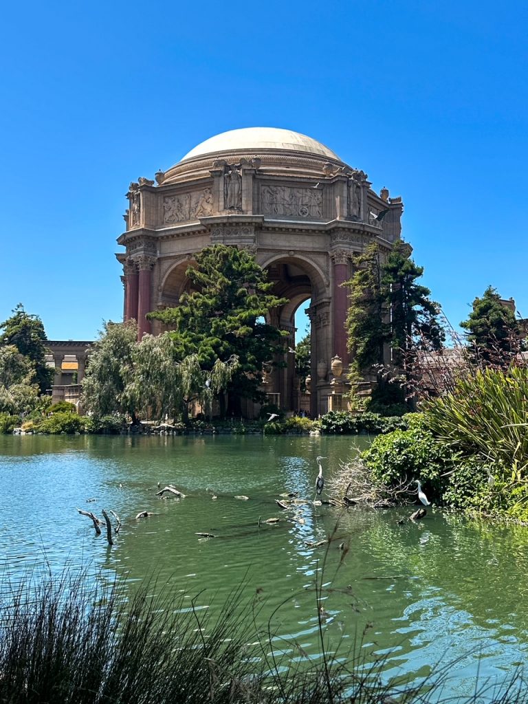black-crowned night herons in front of the Palace of Fine Arts in San Francisco