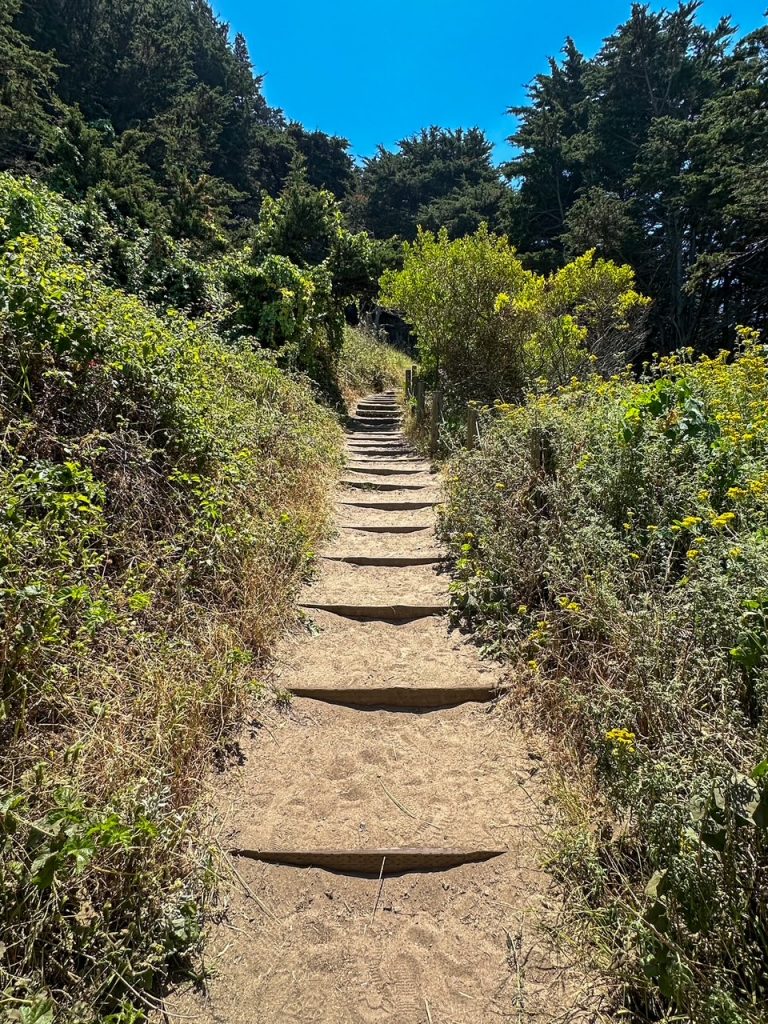 part of the sandy Lands End Trail in San Francisco