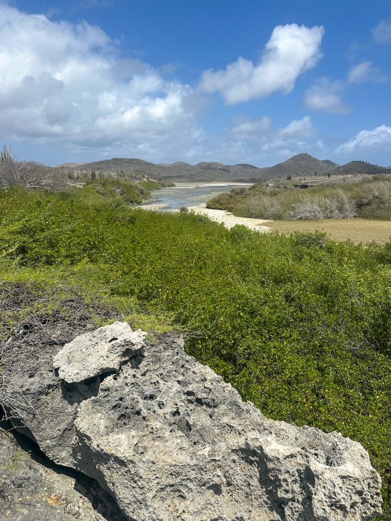 Mountain and river view along the Lagadishi Trail at Washington Slagbaai National Park