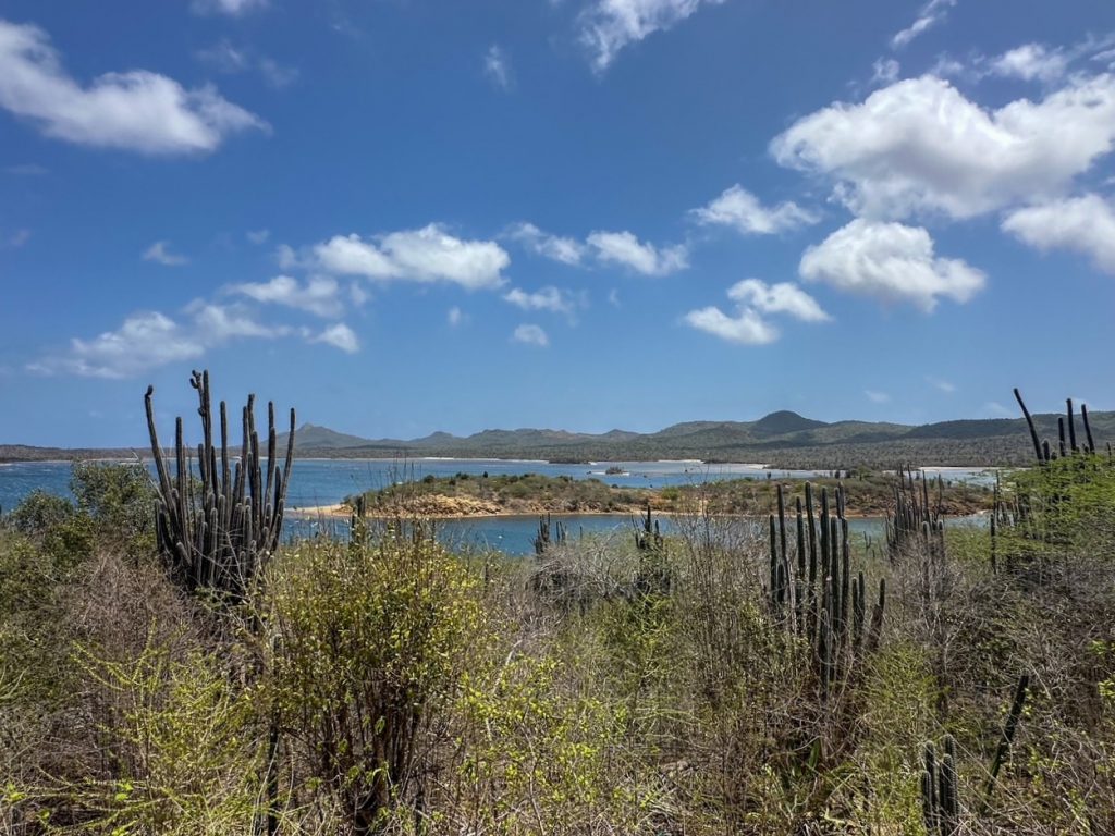 Salina Goto viewpoint in Bonaire
