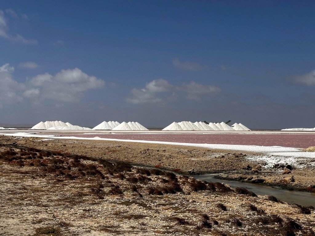 Pink salt ponds and white salt piles along Bonaire's southern coast