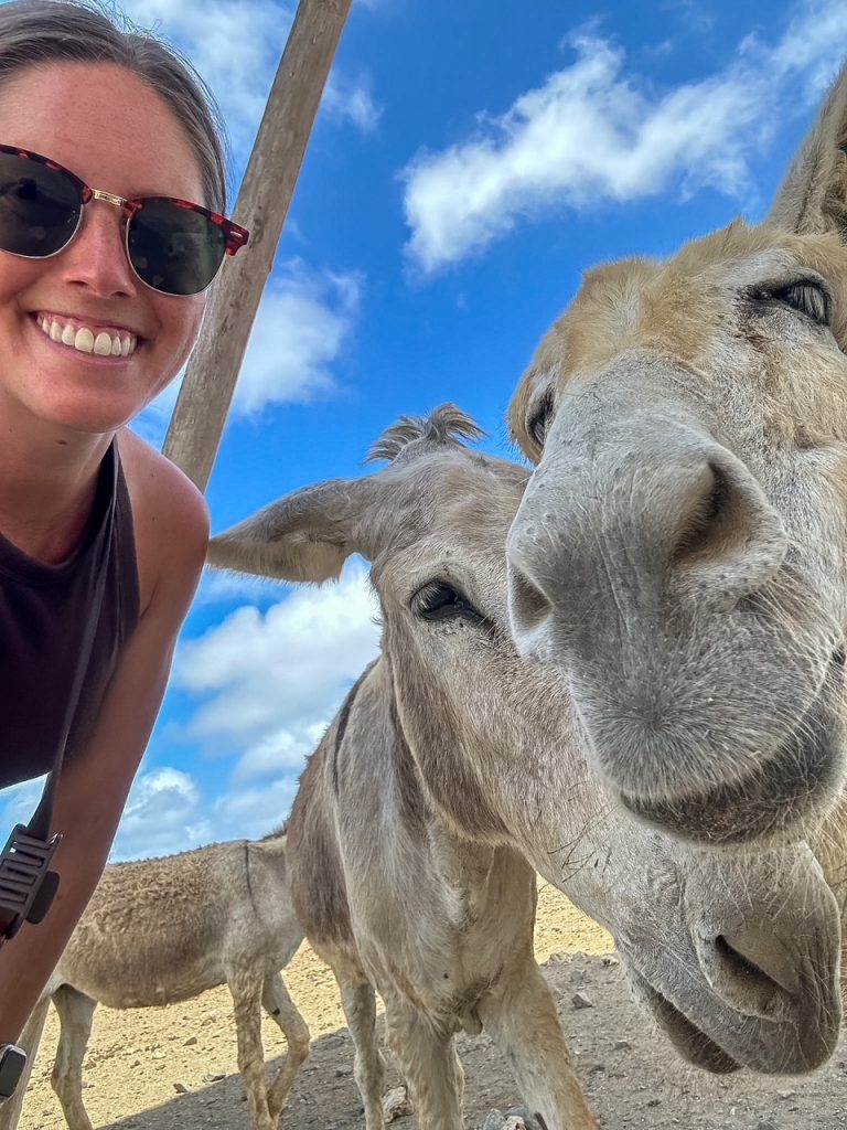 Sara taking a selfie with donkeys at the Donkey Sanctuary Bonaire