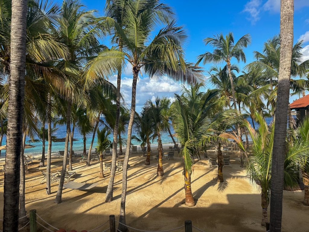 Palm trees and private beach at Harbour Village Beach Club in Bonaire