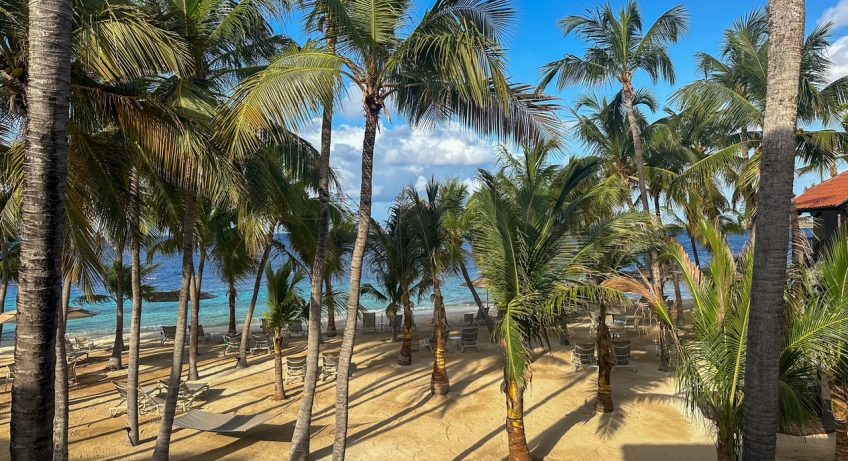 palm trees and the private beach at Harbour Village Beach club