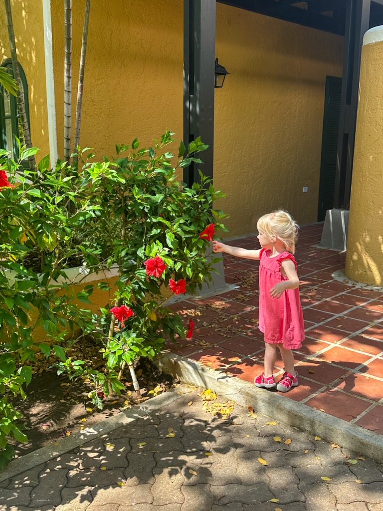 toddler playing with a flower outside our villa at Harbour Village