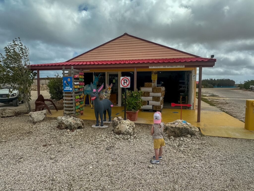 Donkey Sanctuary Bonaire gift shop