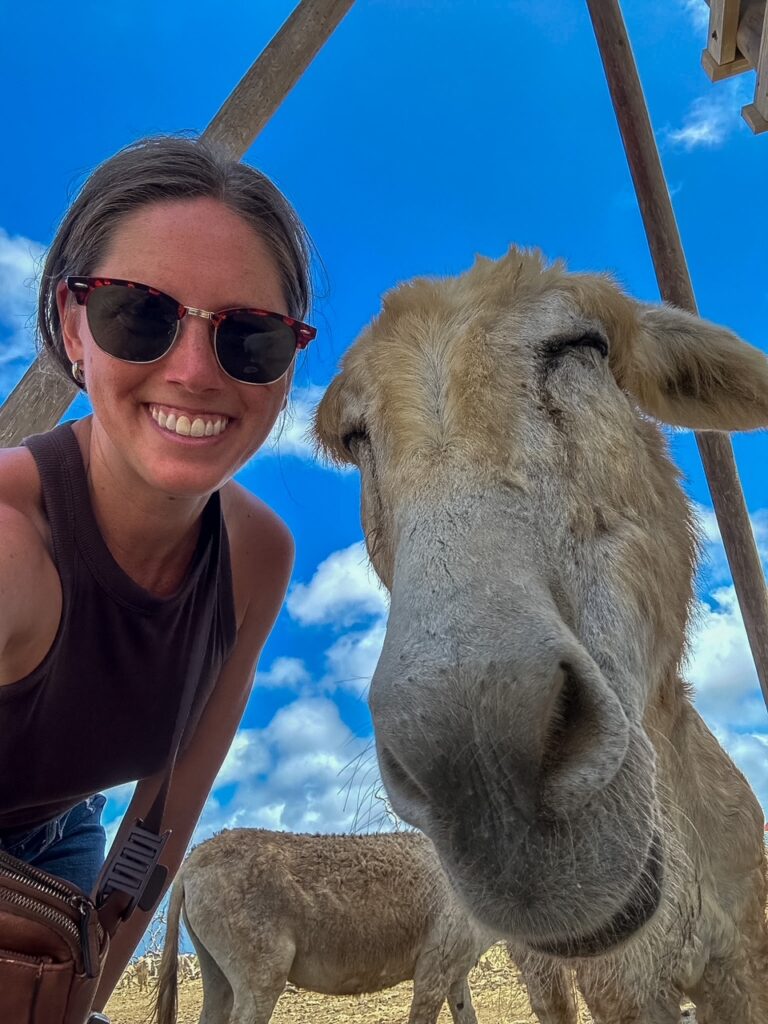 one of many donkey selfies at Donkey Sanctuary Bonaire